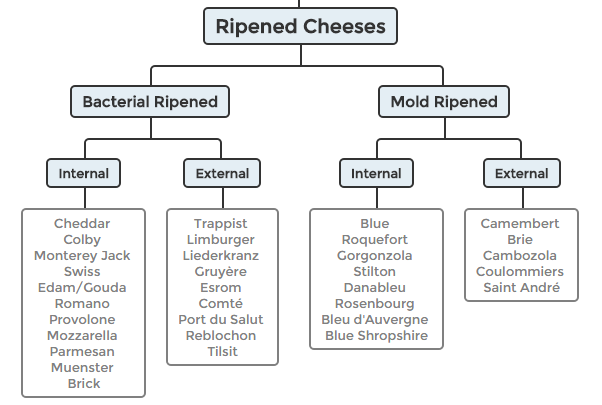 List of cheeses, Hardness, Ripening, & Types